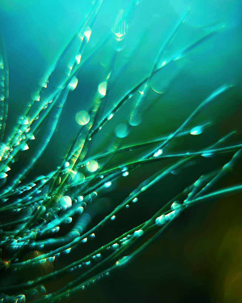 Photograph by Андрей Лебедев