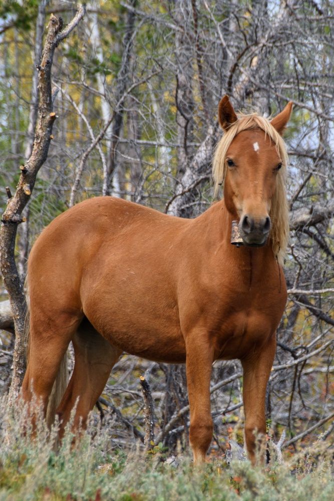 Photograph by Виктория Лобанова