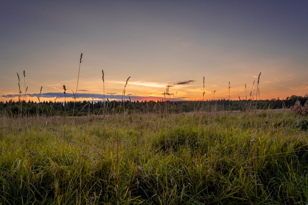 Photograph by Глеб Обуховский