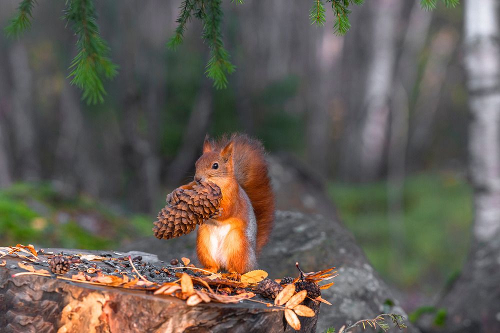 Photograph by Natalya Ermokhina