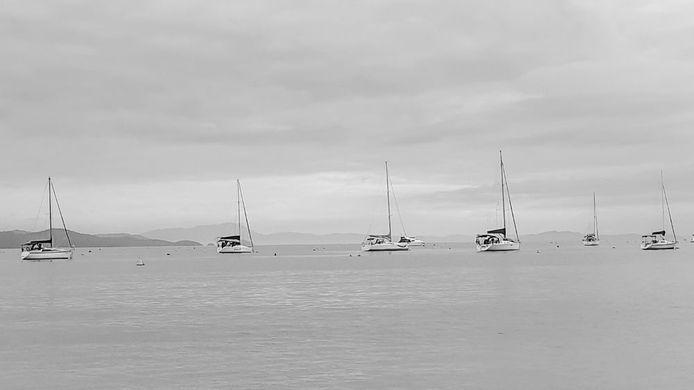 Photograph by adriana menez