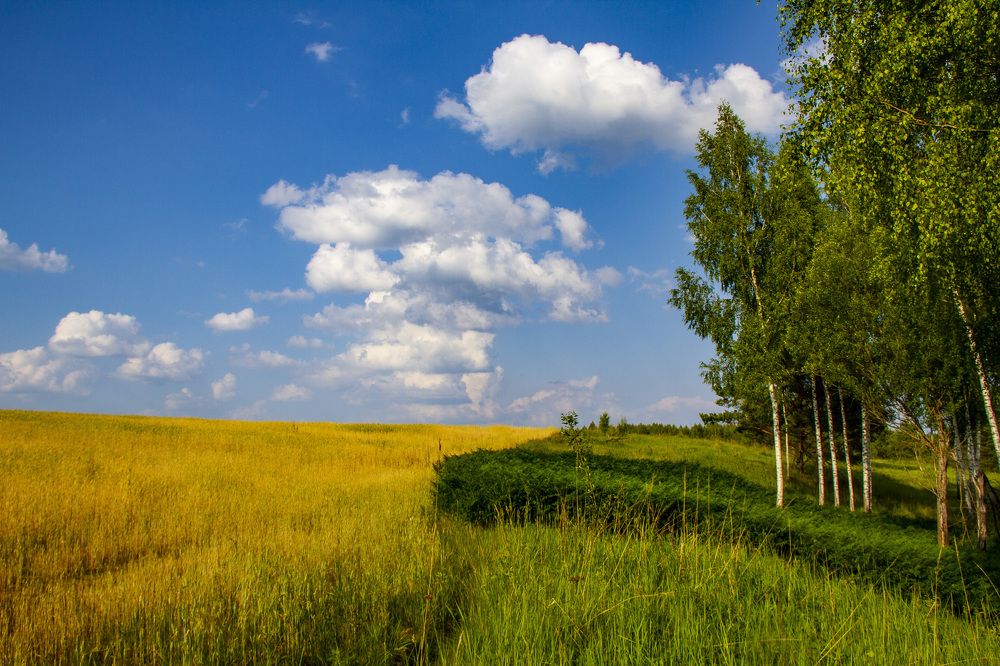 Photograph by Дмитрий Селицкий