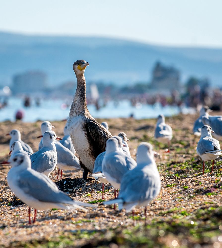 Photograph by Grigorev Andrey