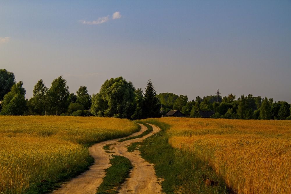 Photograph by Дмитрий Селицкий