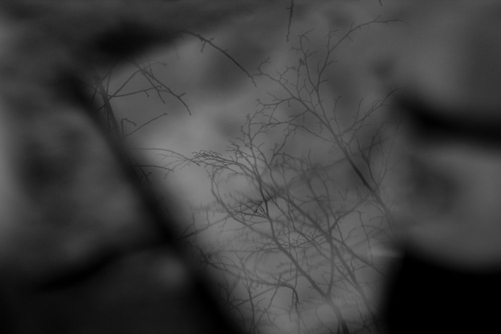 Photograph by Atefeh