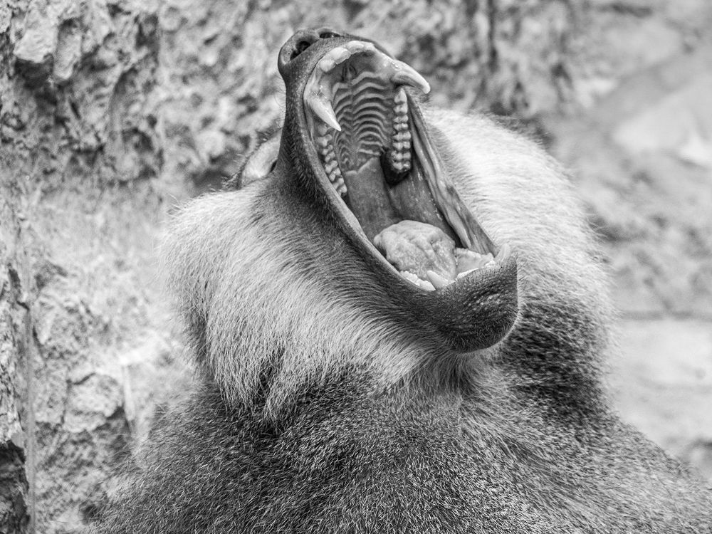 Photograph by Денис Иванов