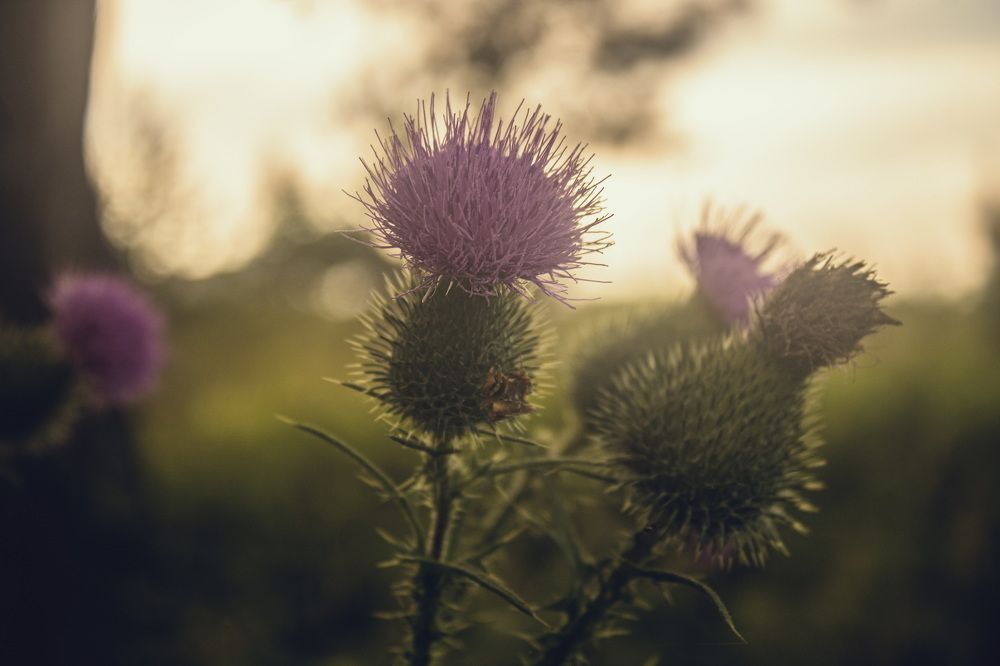 Фотография автора Александр Черепанов