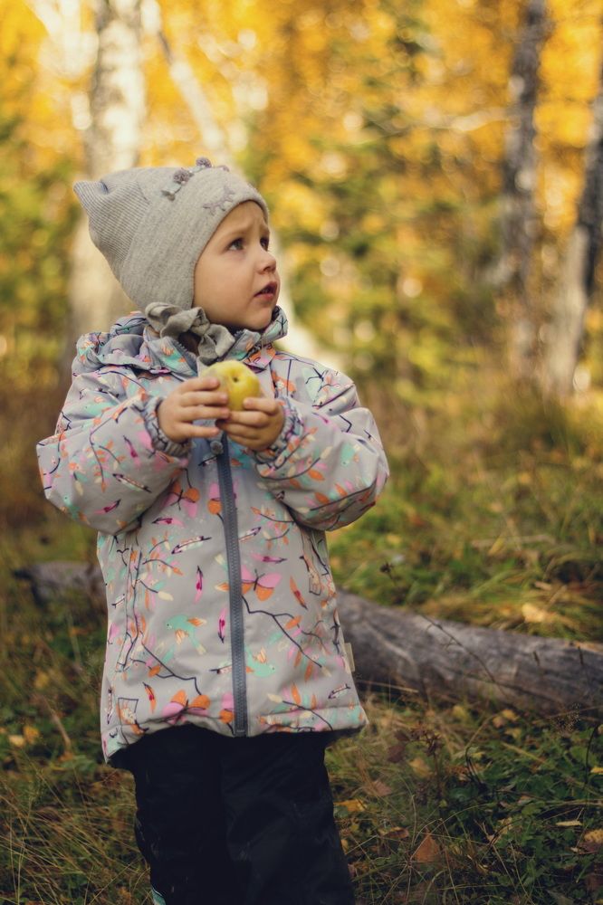 Фотография автора Александр Черепанов