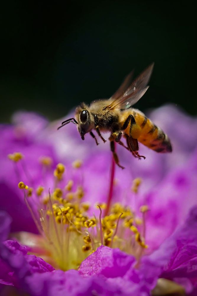 Фотография автора Александр Черепанов