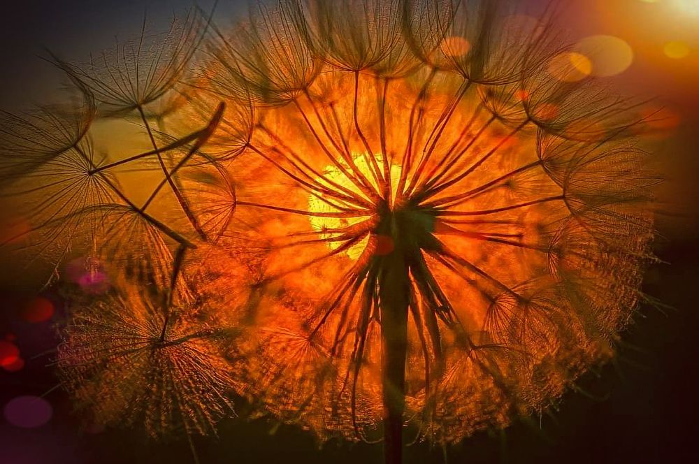 Photograph by Александр Черепанов