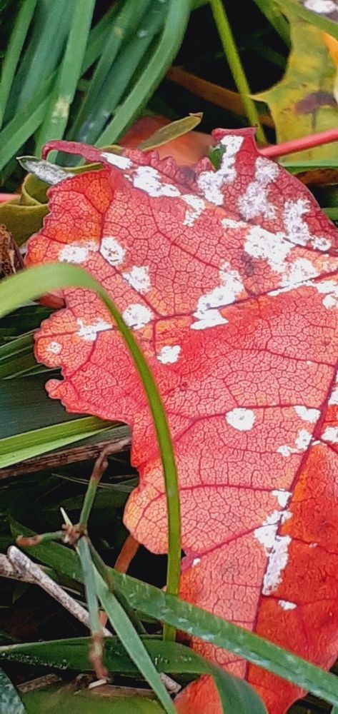 Photograph by Евгения Ульянова