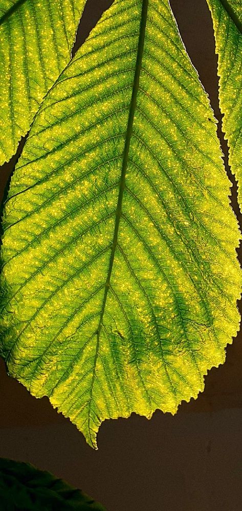 Photograph by Евгения Ульянова