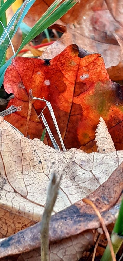 Photograph by Евгения Ульянова