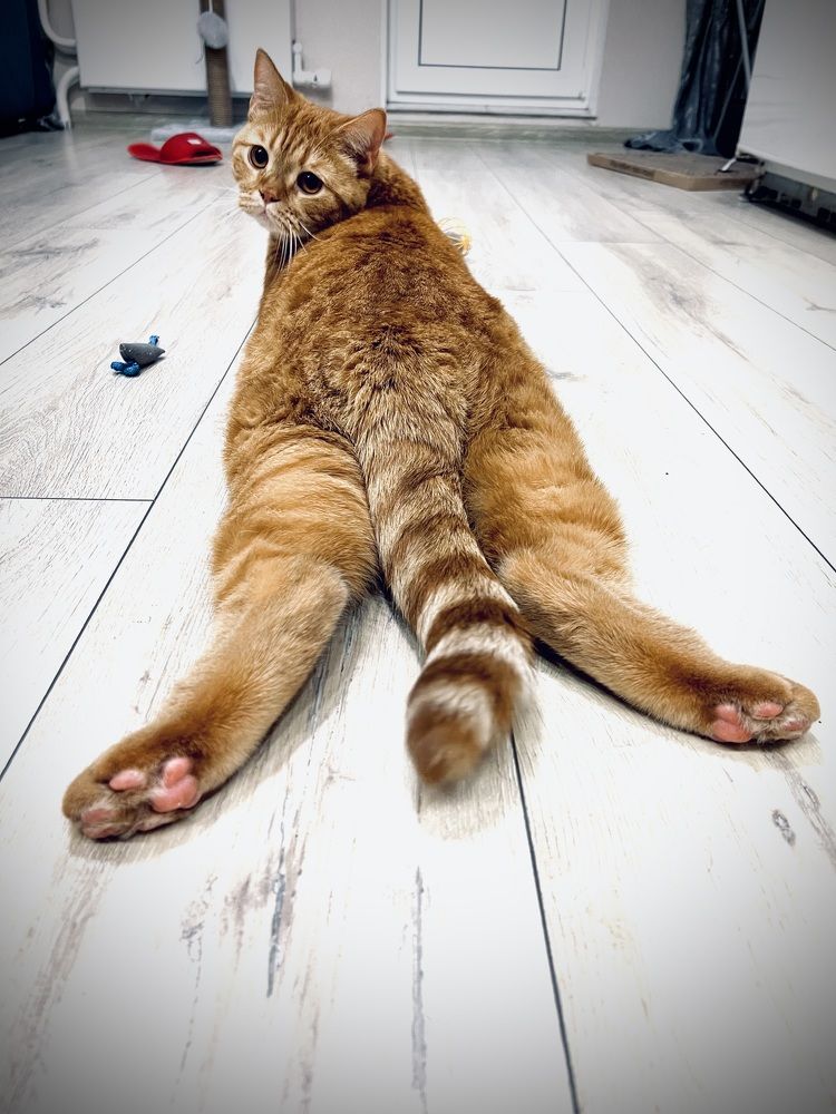 Photograph by Анна Дорофеева