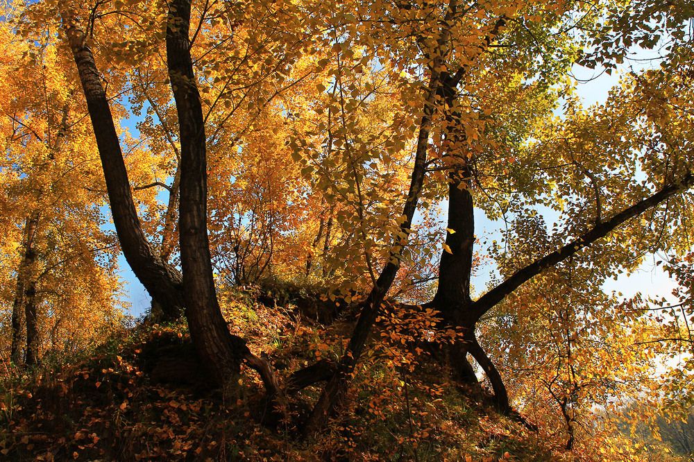 Photograph by Курочкина Диана