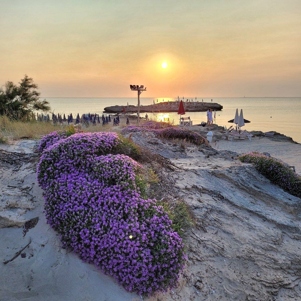 Photograph by Catherine