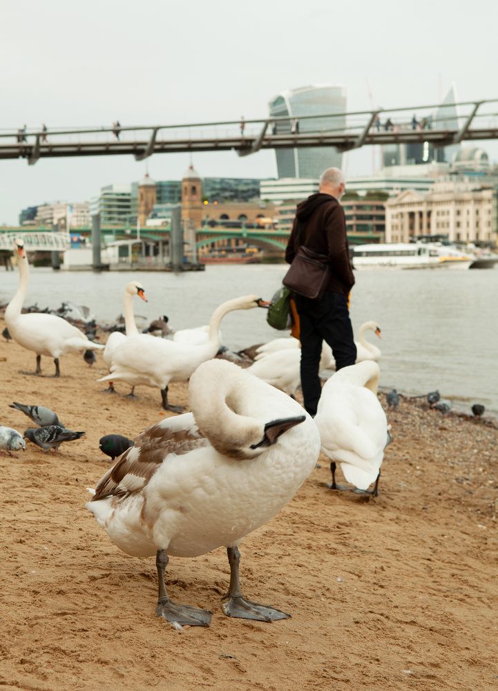 Фотография автора Julija Zuikova