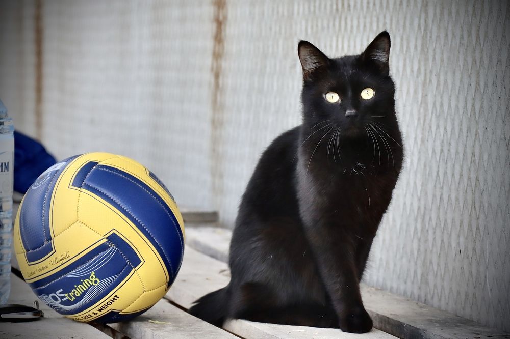 Photograph by Анна Дорофеева