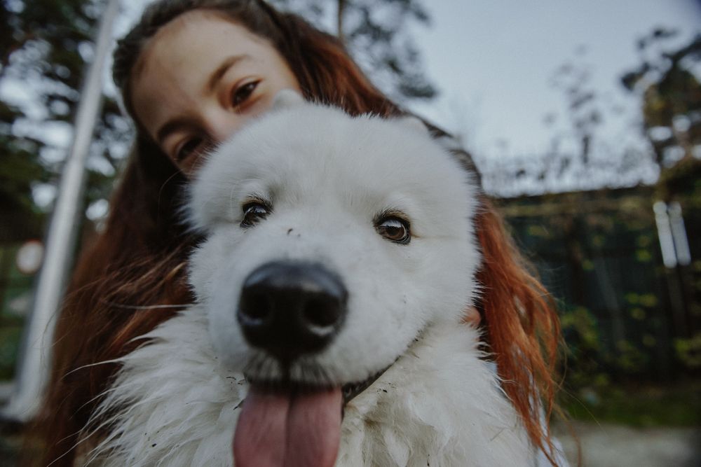 Photograph by Чикелев Дмитрий