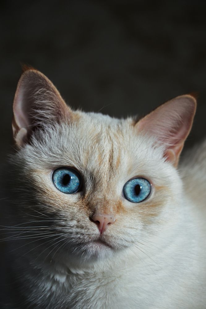 Фотография автора Илья Малеев