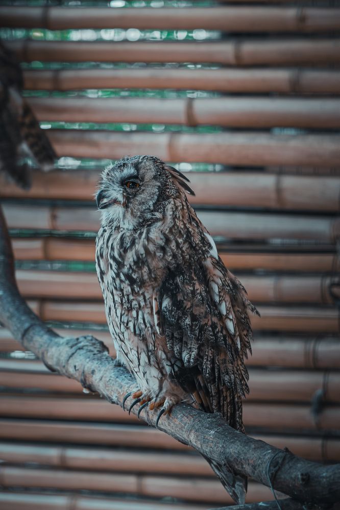 Фотография автора Илья Малеев