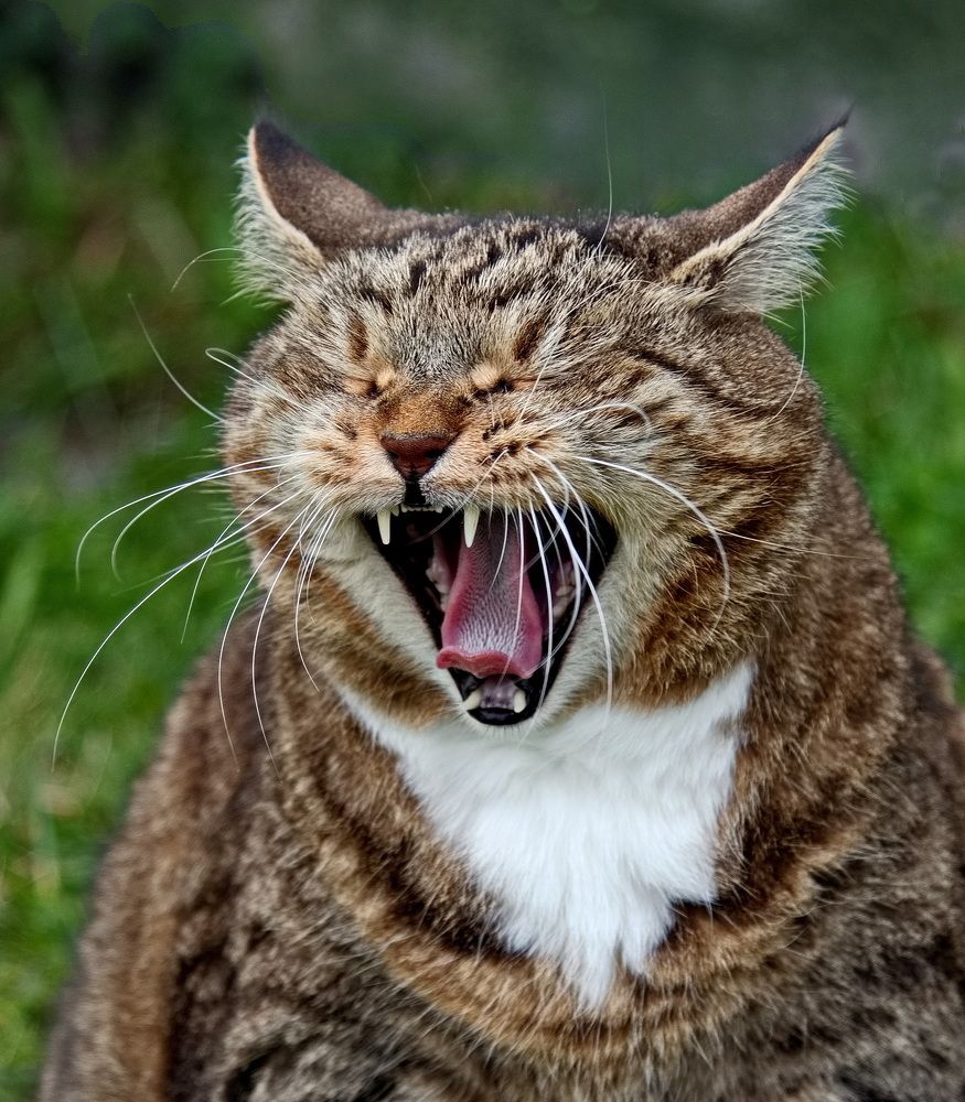 Photograph by Лидия Ушакова