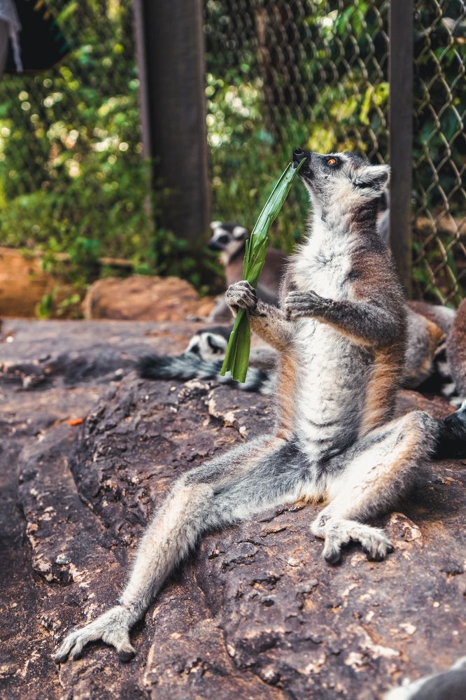 Мысли о высоком и вкусном