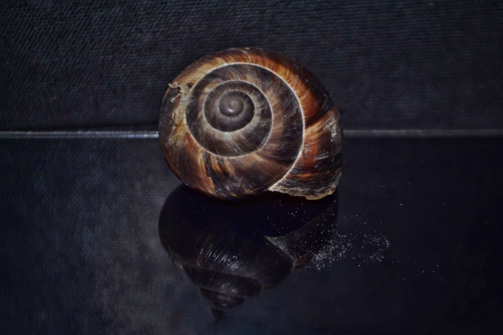 Photograph by Светлана Мазурова