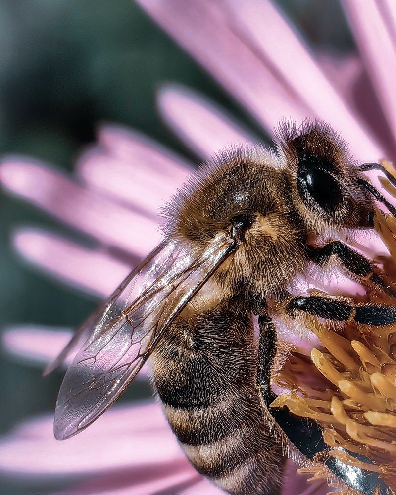 Фотография автора Юра Кладухин