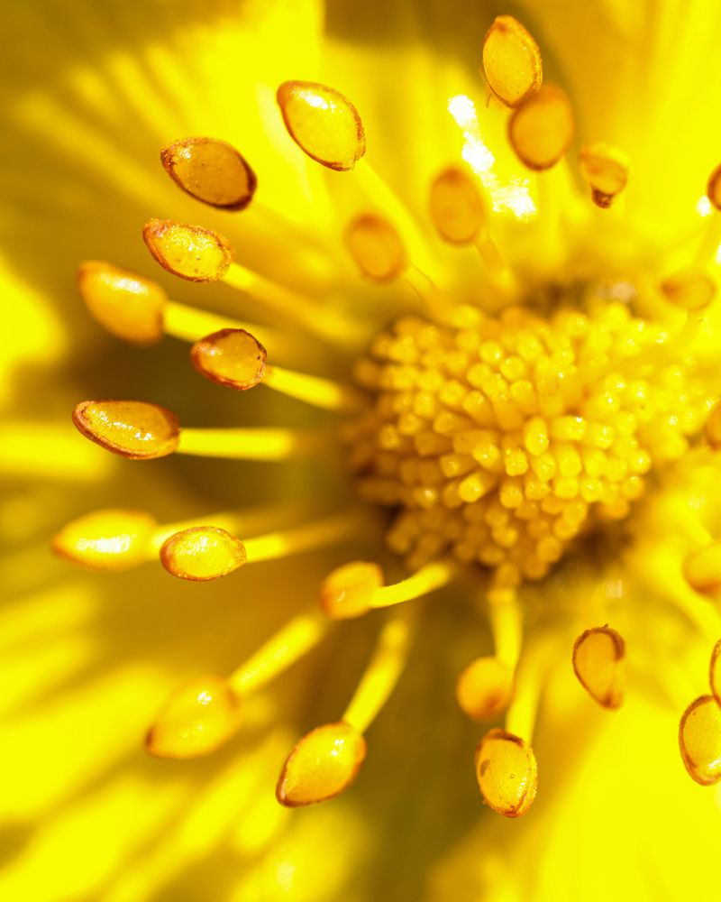 Photograph by Ірина Чумакова