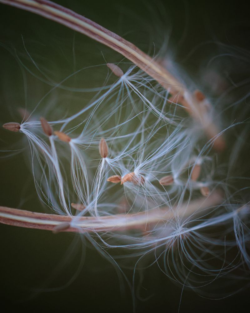 Photograph by Ірина Чумакова