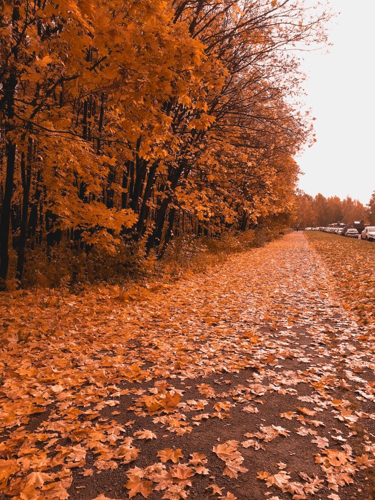 Photograph by Эльмира Гайнутдинова