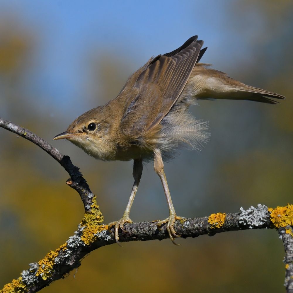 Photograph by Енушевский Георгий