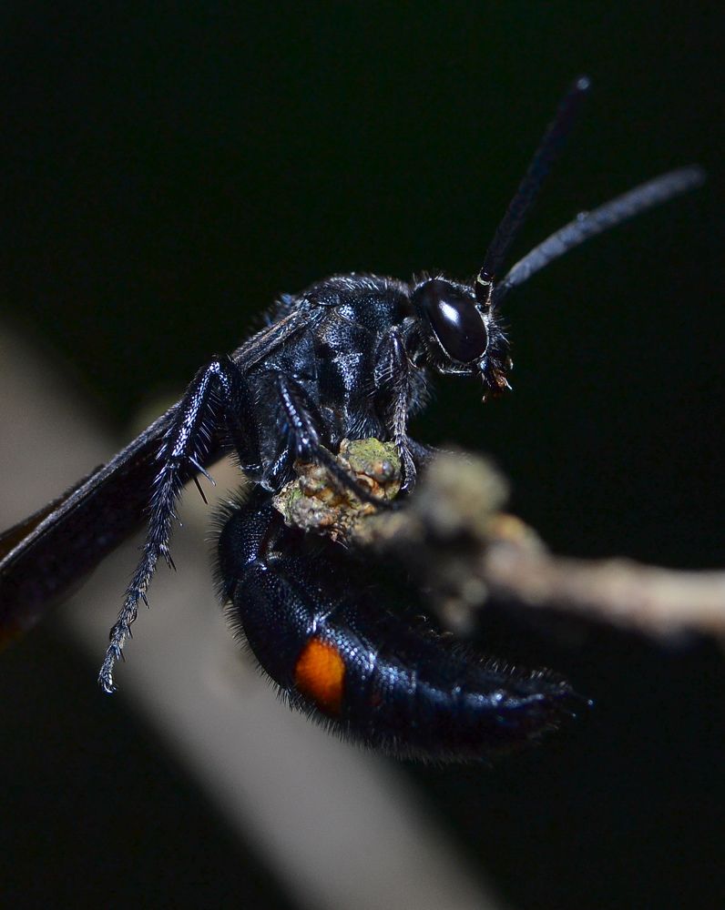 Photograph by Kasun Wickramasinghe