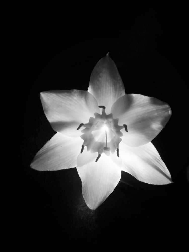 Photograph by Светлана Мазурова