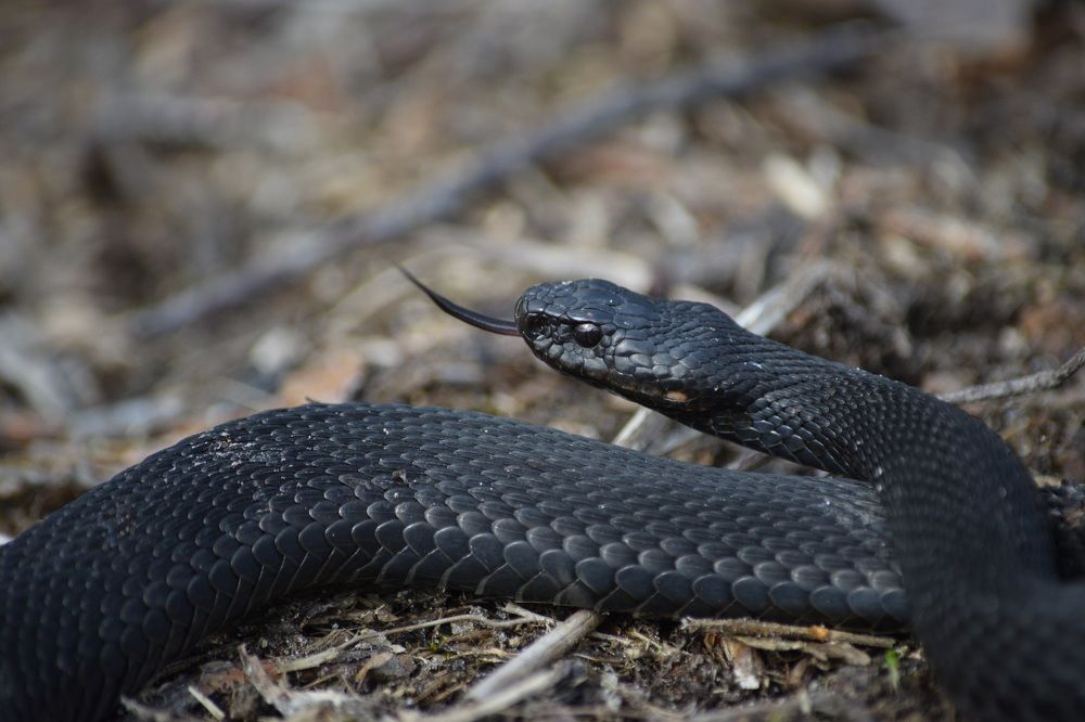 Photograph by Андрей Головин