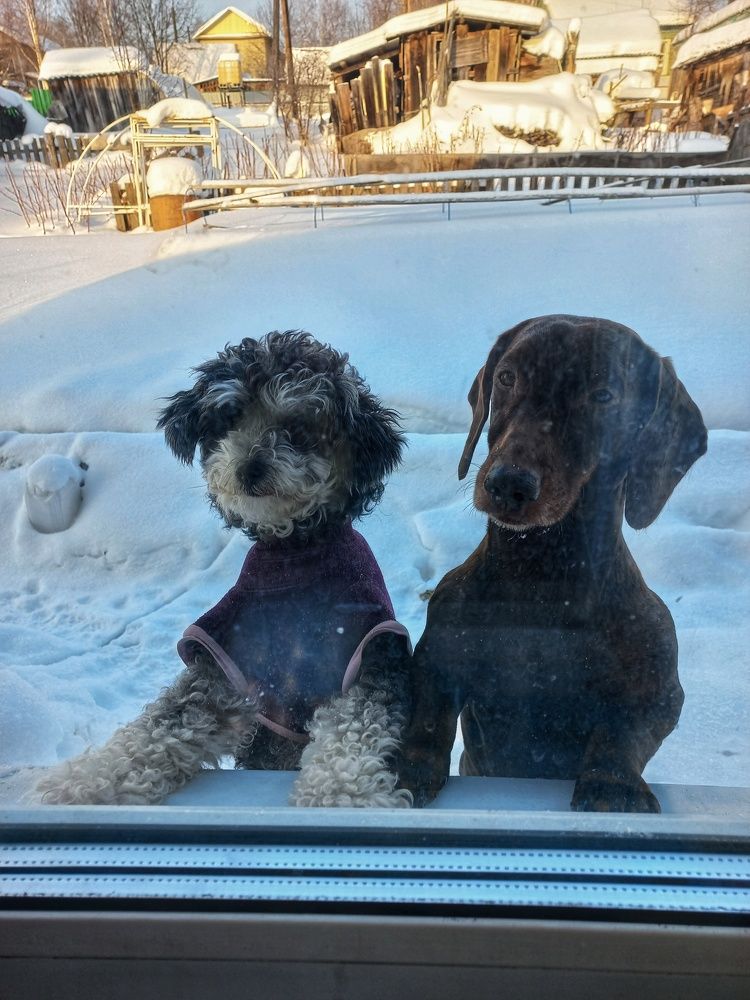 Photograph by Владимир Баженов