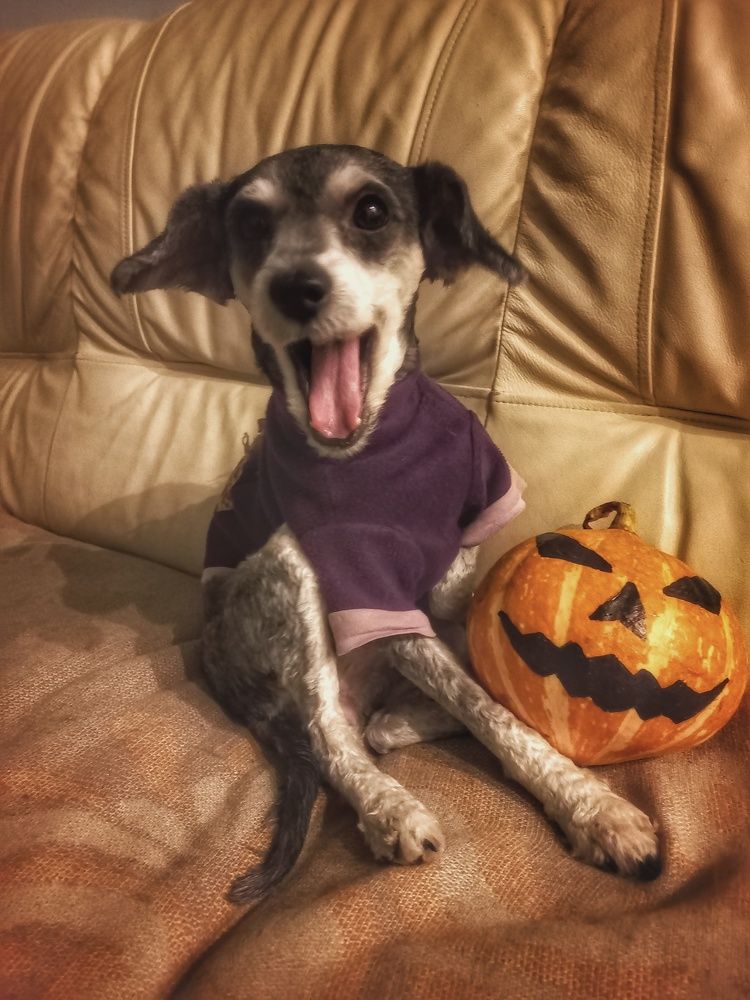 Photograph by Владимир Баженов