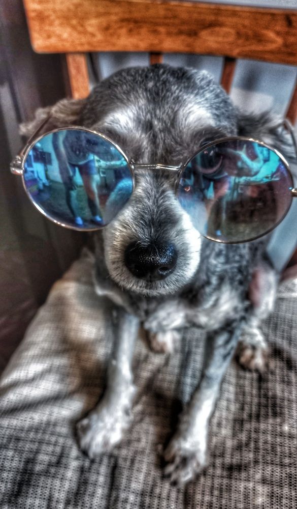 Photograph by Владимир Баженов