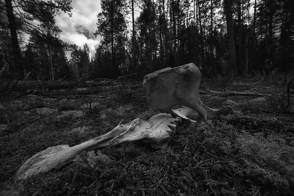 Фотография автора Павел Мартюшев