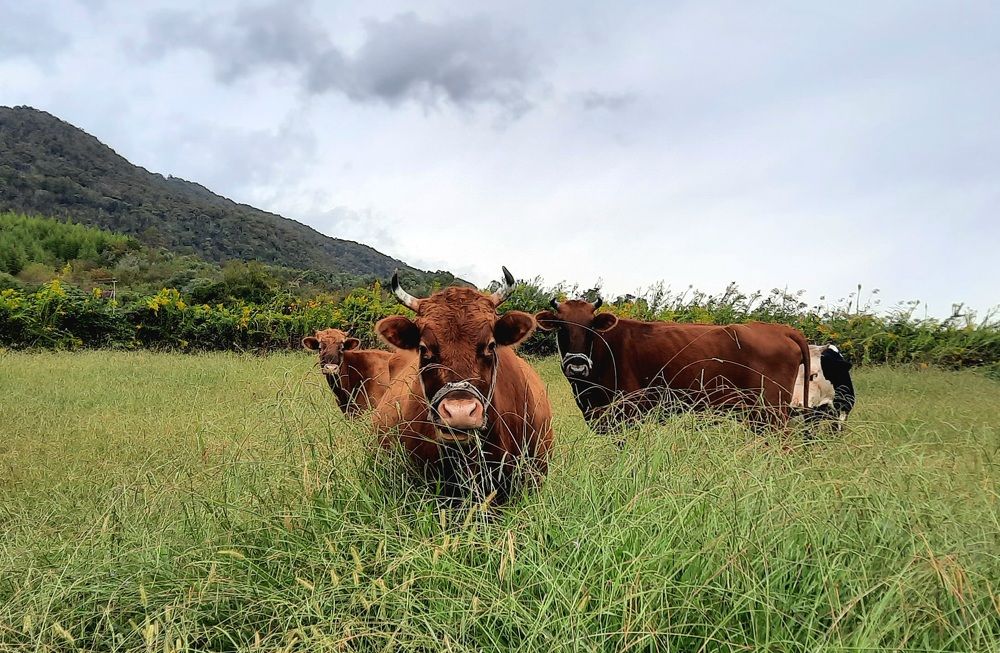 Photograph by Елена Симонова