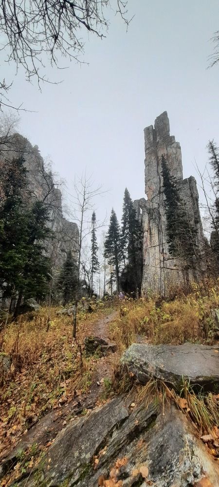 Инзерские зубчатки