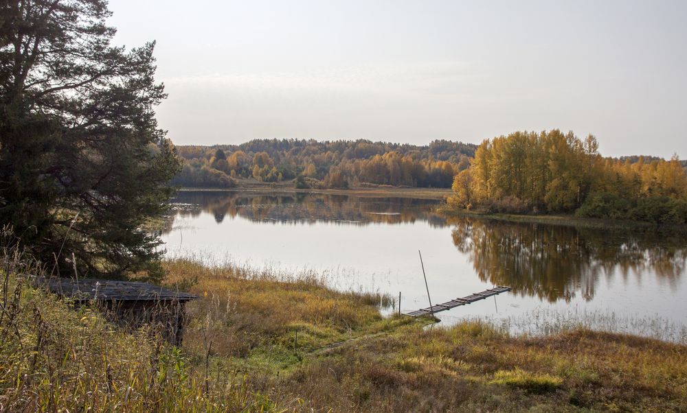 Photograph by Галина Щипакина