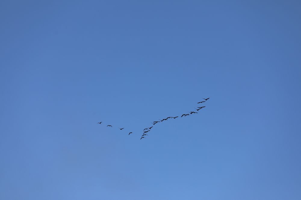 Photograph by Владимир Грибков