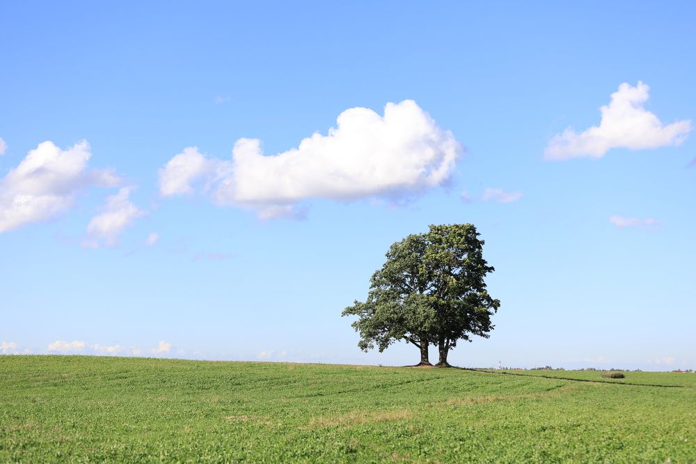 Неодиночество