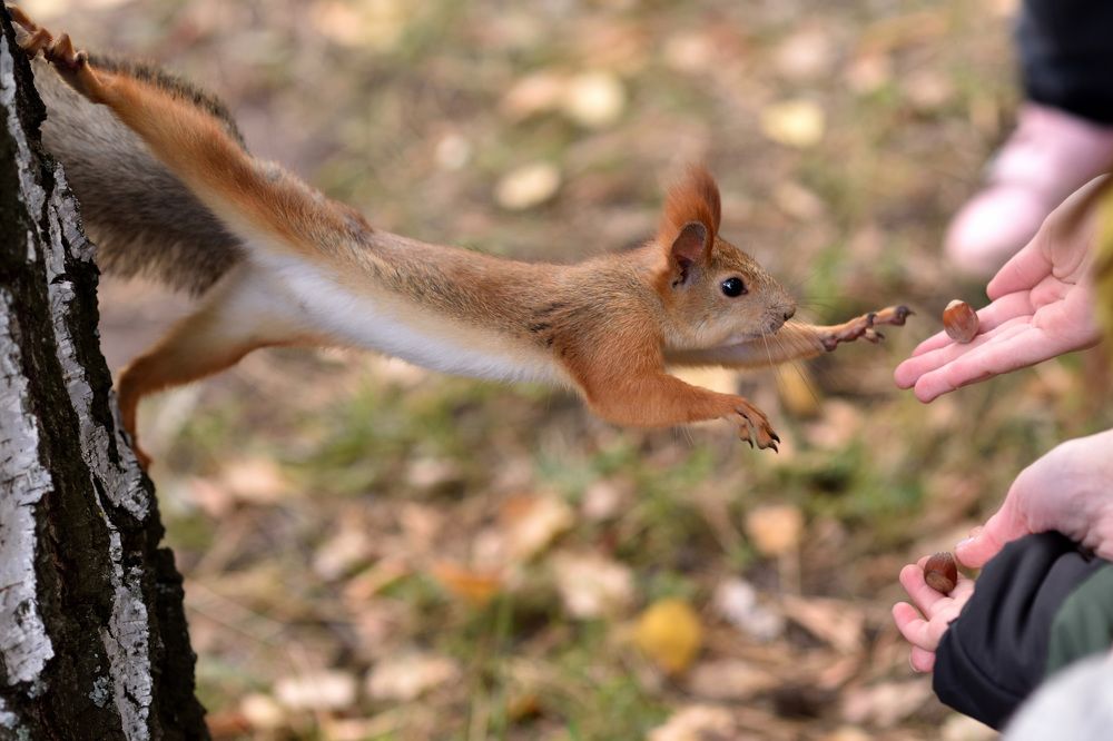 Photograph by Ирина Ященко