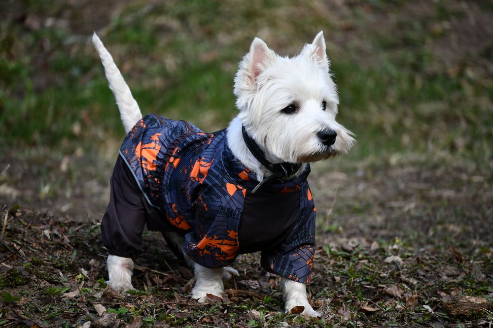 Photograph by Андрей Жуков