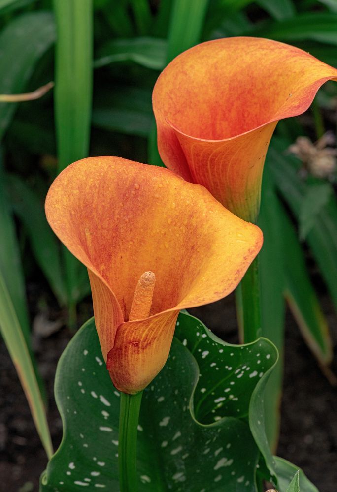 Photograph by Илфир Исламгазин