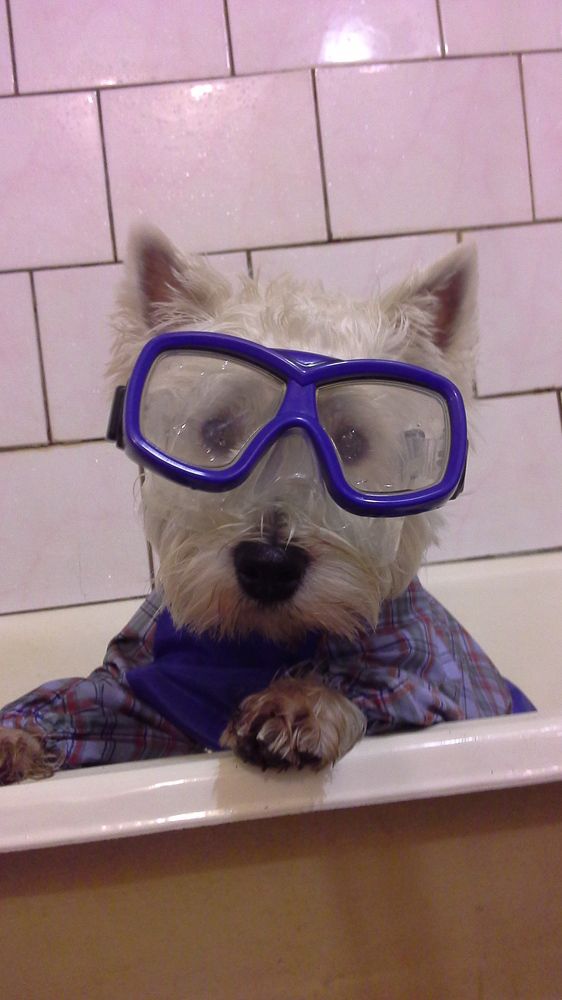 Photograph by Андрей Жуков