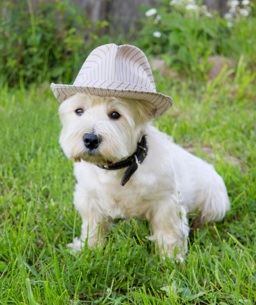 Photograph by Андрей Жуков